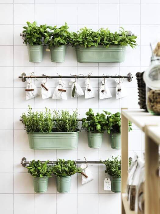 Vertical Herb Garden in Your Kitchen