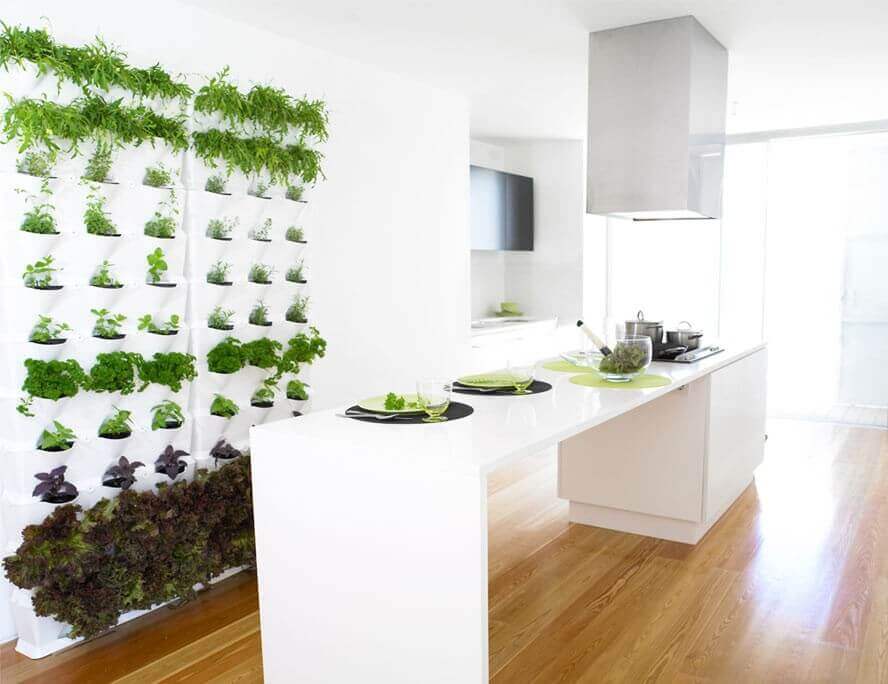 Vertical Herb Garden in Your Kitchen
