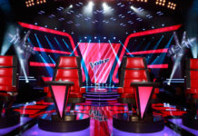 The Voice show - Шоу Голос