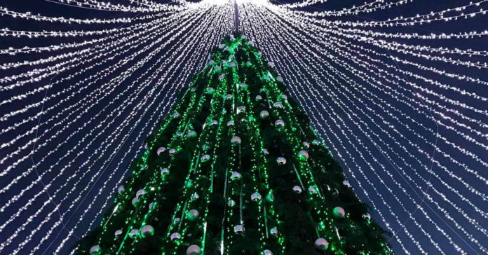 christmas-vilnius-2017-coverimage Рождественская елка освещенная 50000 лампочками открывает праздничный сезон в Вильнюсе