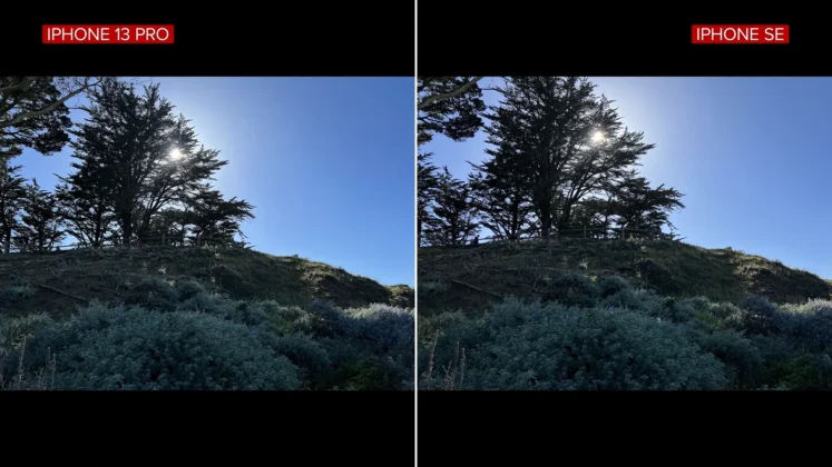 Сравнение качества фото сделанных на основную камеру «iPhone SE» третьего поколения и «iPhone 13 Pro»